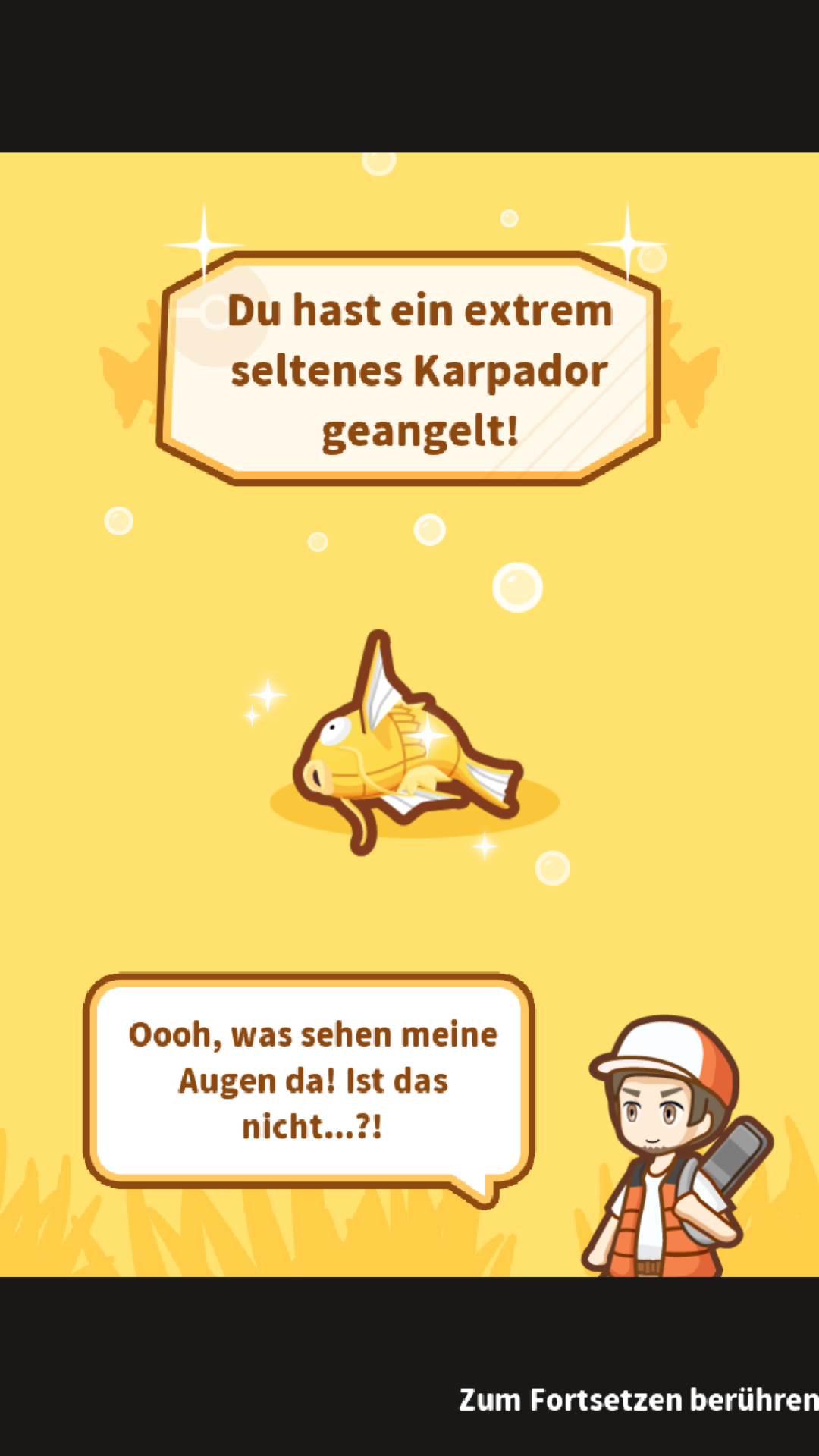 Shiny-Liebiskus Shiny-Liebiskus