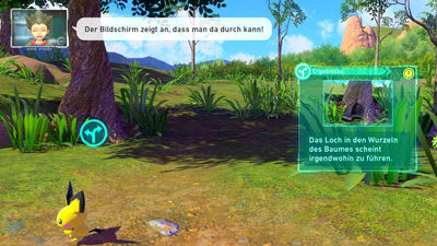 Beispielfoto für den Eingang