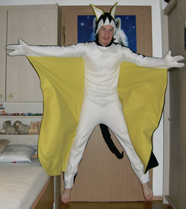Abgabe