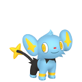 Sheinux ♀