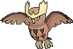 Noctuh Noctuh