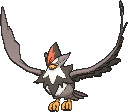 Staraptor Staraptor