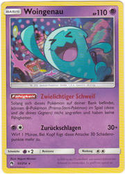 Echo des Donners 93/214 Woingenau