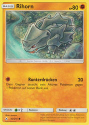 Kräfte im Einklang 92/214 Rihorn