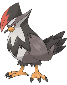 Staraptor
