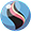 Quajutsunit