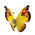 Vivillon Kontinentalmuster