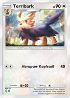 Mega-Aufstieg 202/226 Terribark