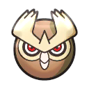 Noctuh Noctuh