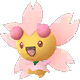 Kinoso Sonnentagsform Kinoso Sonnentagsform