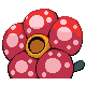 Giflor ♀ Giflor ♀