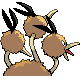 Dodri ♀ Dodri ♀