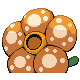 Giflor ♀ Giflor ♀