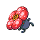 Giflor ♀ Giflor ♀