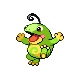 Quaxo ♀ Quaxo ♀