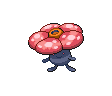 Giflor ♀ Giflor ♀