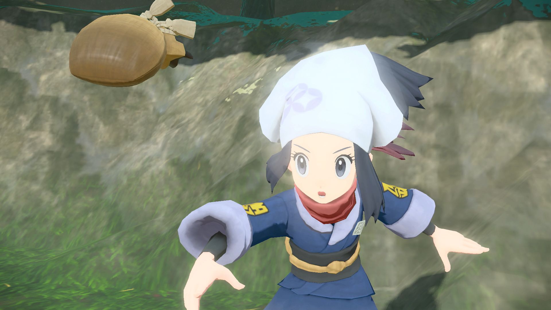 König- und Königinnen-Pokémon König- und Königinnen-Pokémon