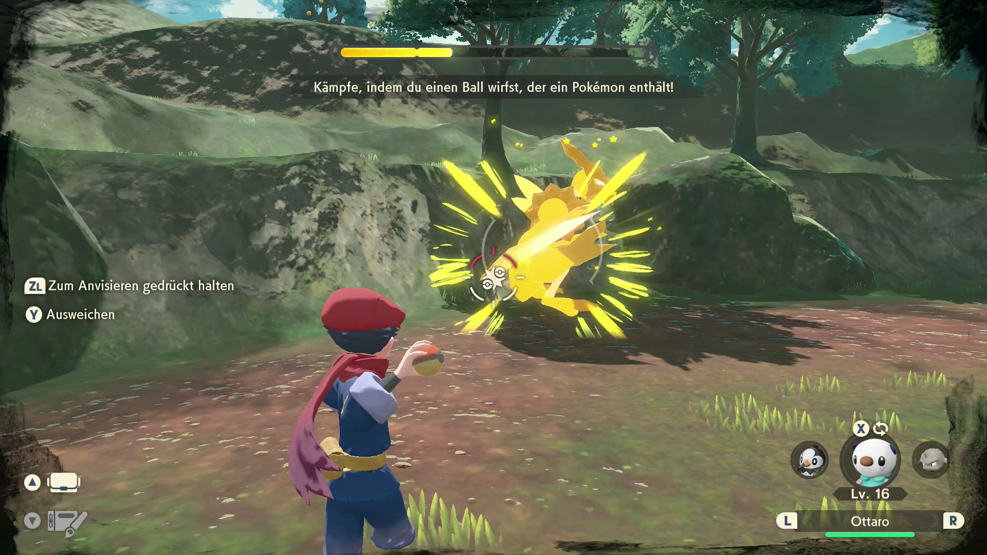 König- und Königinnen-Pokémon König- und Königinnen-Pokémon