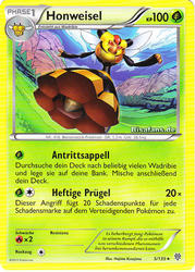 Plasma-Sturm 5/135 Honweisel