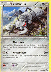 Flammenmeer 61/106 Fermicula