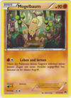 067	Mogelbaum