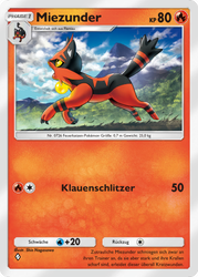 Evoli-Hain 012/069 Miezunder