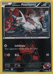 Double Crisis 17/34 Team Magma's Poochyena