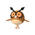 Hoothoot