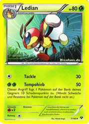 XY-Basisset 7/146 Ledian