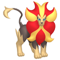 Pyroleo