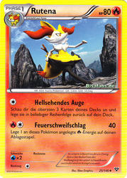 XY-Basisset 25/146 Rutena