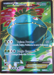 XY-Basisset 141/146 Bisaflor EX