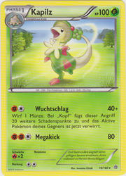 Protoschock 16/160 Kapilz