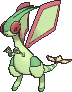 Libelldra Libelldra