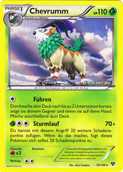 XY-Basisset 19/146 Chevrumm