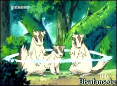 Screenshot von Geradaks