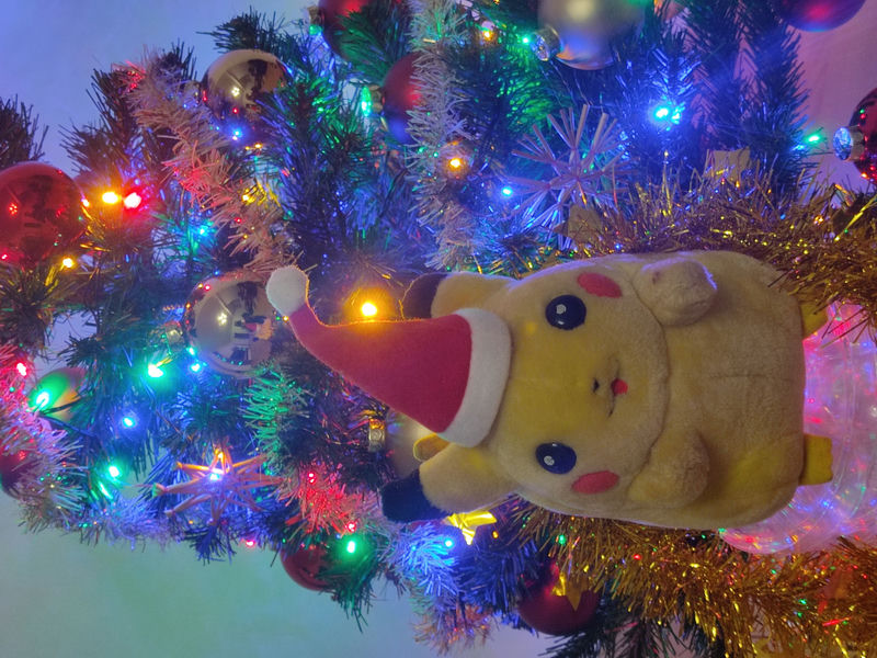 Bild im 23. Türchen