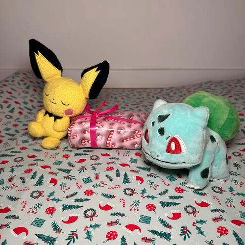 Bild im 24. Türchen