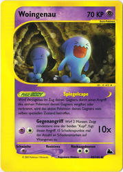 Skyridge 045/144 Woingenau