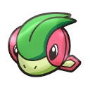 Libelldra