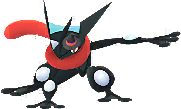 Shiny Hexenhut Shiny Hexenhut