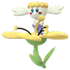 Shiny Gelbblütler Shiny Gelbblütler