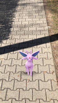 GO-Schnappschuss