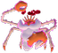Gigadynamax-Kingler
