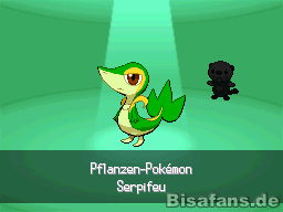 …und wähle deinen Starter  …und wähle deinen Starter