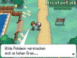 Tipps von Trainern Tipps von Trainern