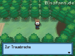 Die Traumbrache Die Traumbrache