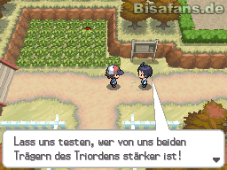 Cheren fordert uns zum Kampf Cheren fordert uns zum Kampf