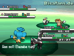 Hier kann es zu Doppelkämpfen mit wilden Pokémon kommen Hier kann es zu Doppelkämpfen mit wilden Pokémon kommen