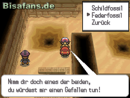 Schild- oder Federfossil - das ist hier die Frage Schild- oder Federfossil - das ist hier die Frage